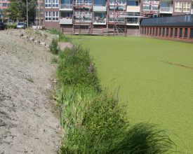 4 Den Haag Baaklaan - Aqua-Flora matten